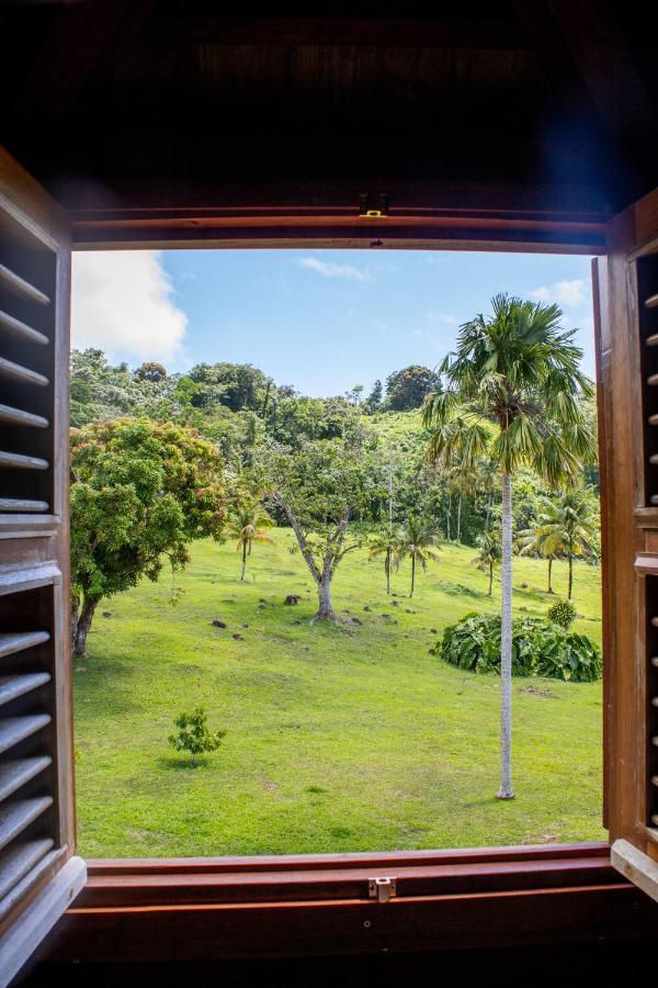 Jardin Malanga Hotel บาส-แตร์ ภายนอก รูปภาพ