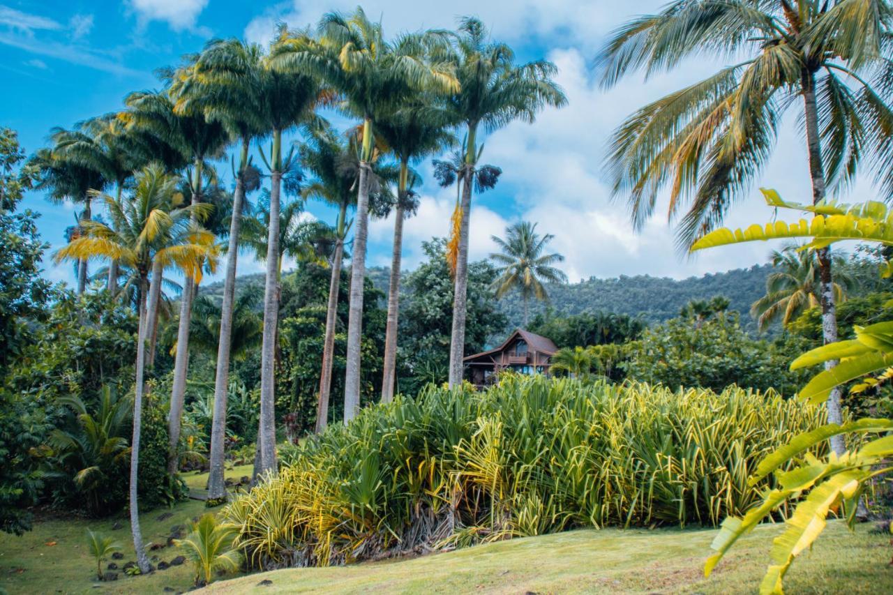Jardin Malanga Hotel บาส-แตร์ ภายนอก รูปภาพ